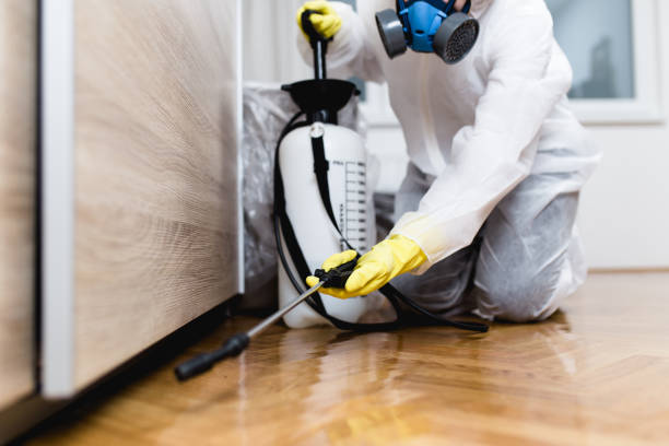 Best Best Pest Control Near Me  in Juniper Canyon, OR