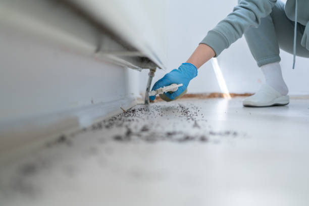 Best Affordable Pest Control Services  in Juniper Canyon, OR